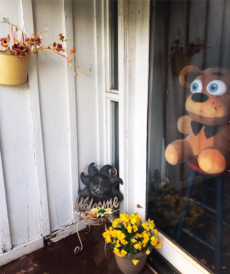 bear hunt photos (25).jpg